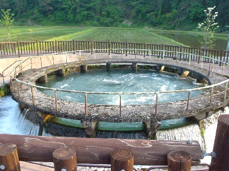 �Ȃ��Ȃ����͂�