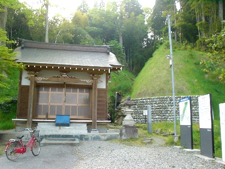 �Ђ̌���ɑꂪ