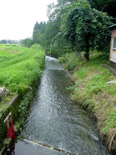 県の天然記念物(ゲンジボタル等の生息地)に指定されています
