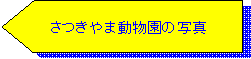 �z�[���x�[�X: �@�@�@������ܓ������̎ʐ^