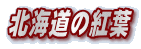 �k�C���̍g�t