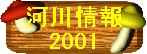 ͐2001