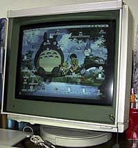 16" Color Display