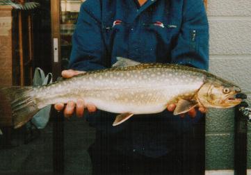 �C�A��70cm