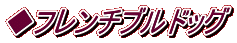 ◆フレンチブルドッグ