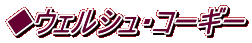 ◆ウェルシュ・コーギー